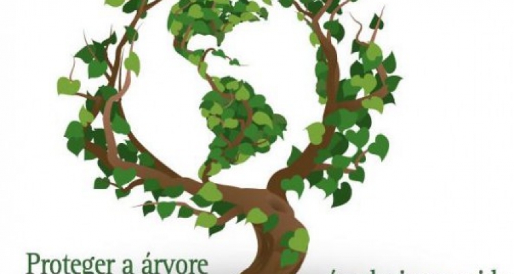 Dia Mundial da Floresta e da Árvore